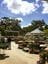 Eden Gardens + Swane's Nursery Tour Image -58fbc3d8da246